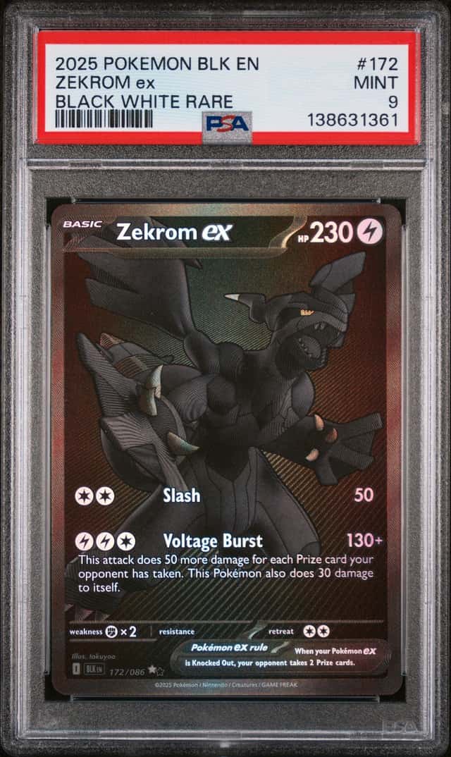 ZEKROM ex