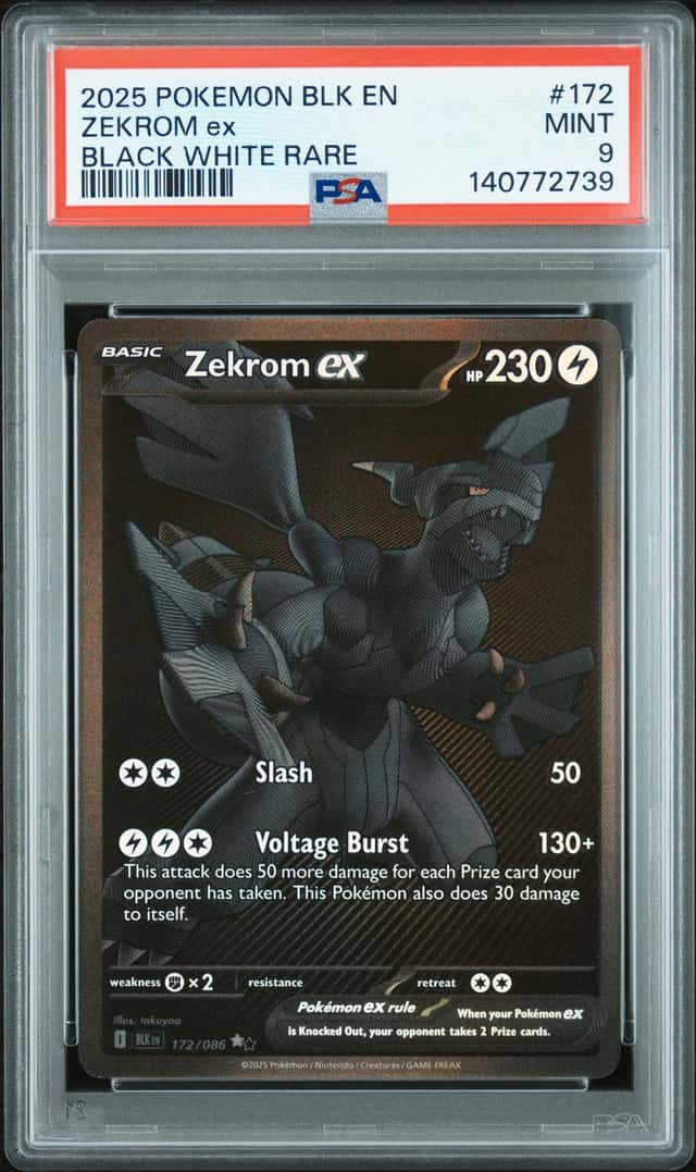 ZEKROM ex