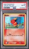 Torchic