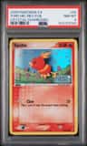 Torchic