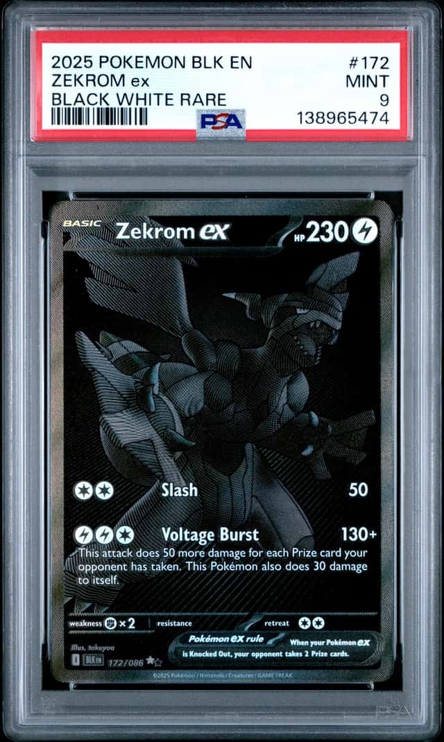 ZEKROM ex