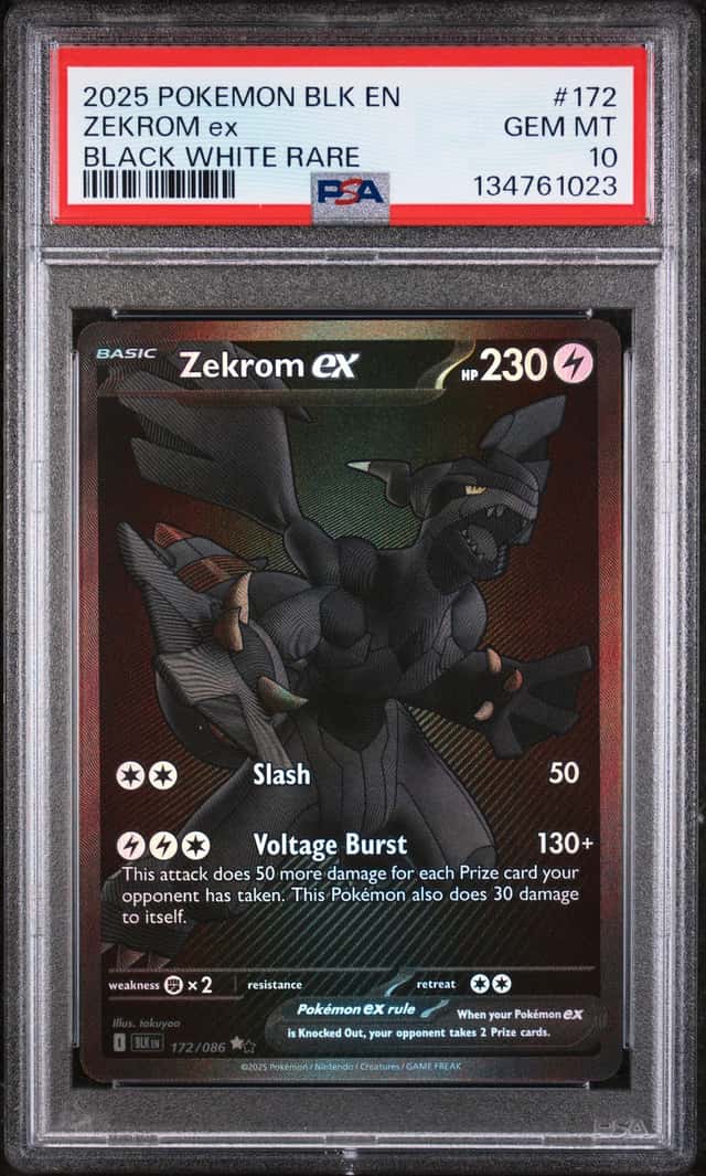 ZEKROM ex