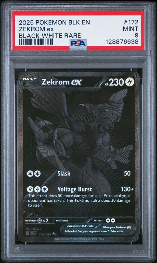 ZEKROM ex