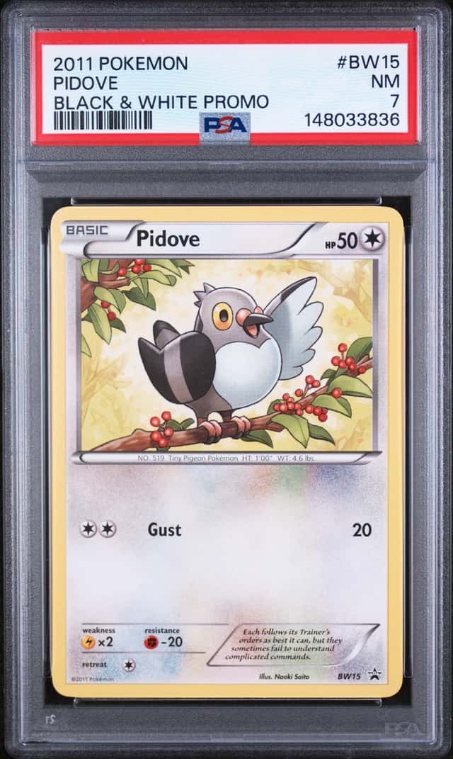 Pidove