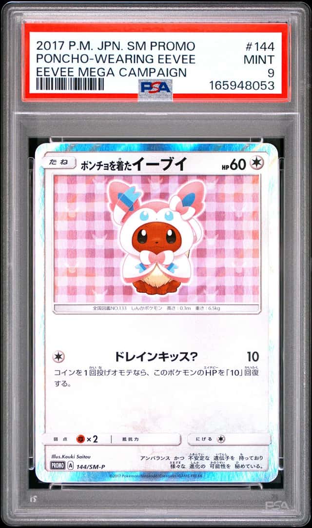 Poncho-Wearing Eevee