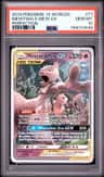 Mewtwo & Mew Gx