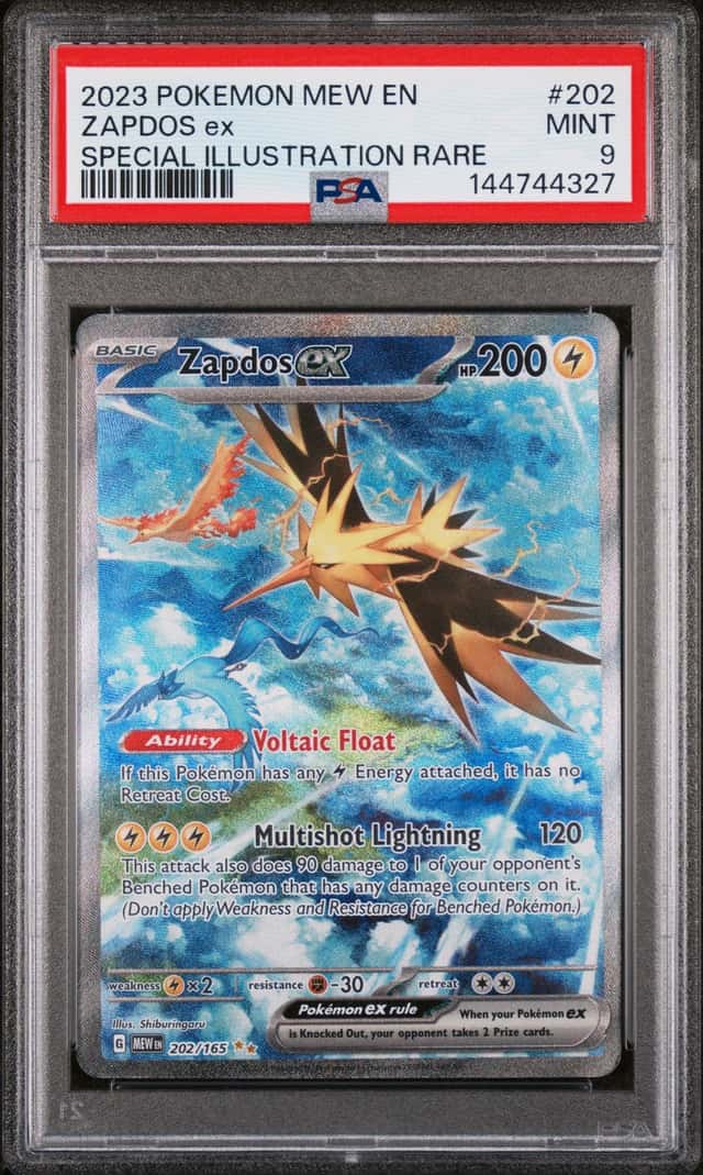 ZAPDOS ex