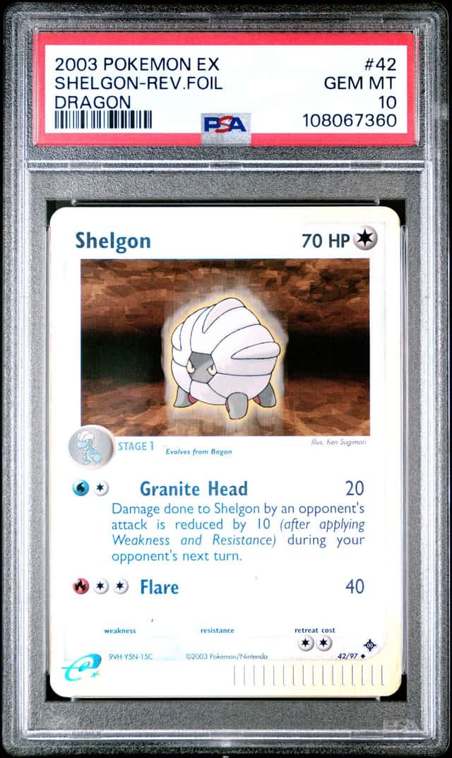 Shelon Dragon