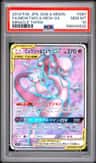 Mewtwo & Mew Gx