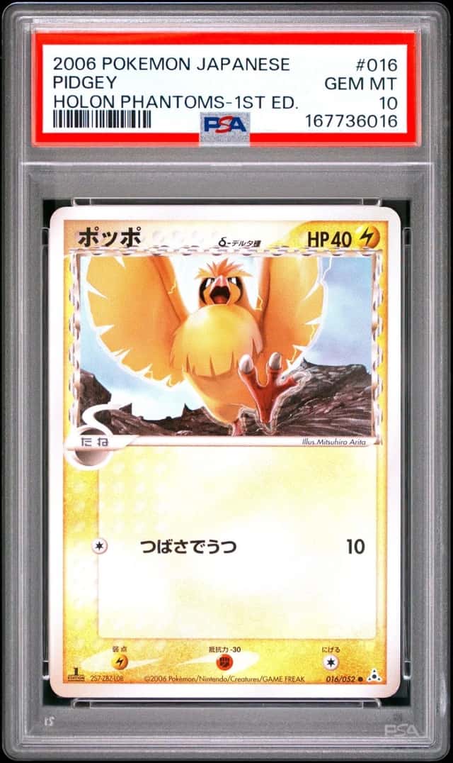 Pidgey