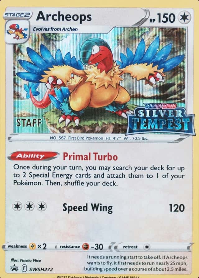 Prerelease · Staff