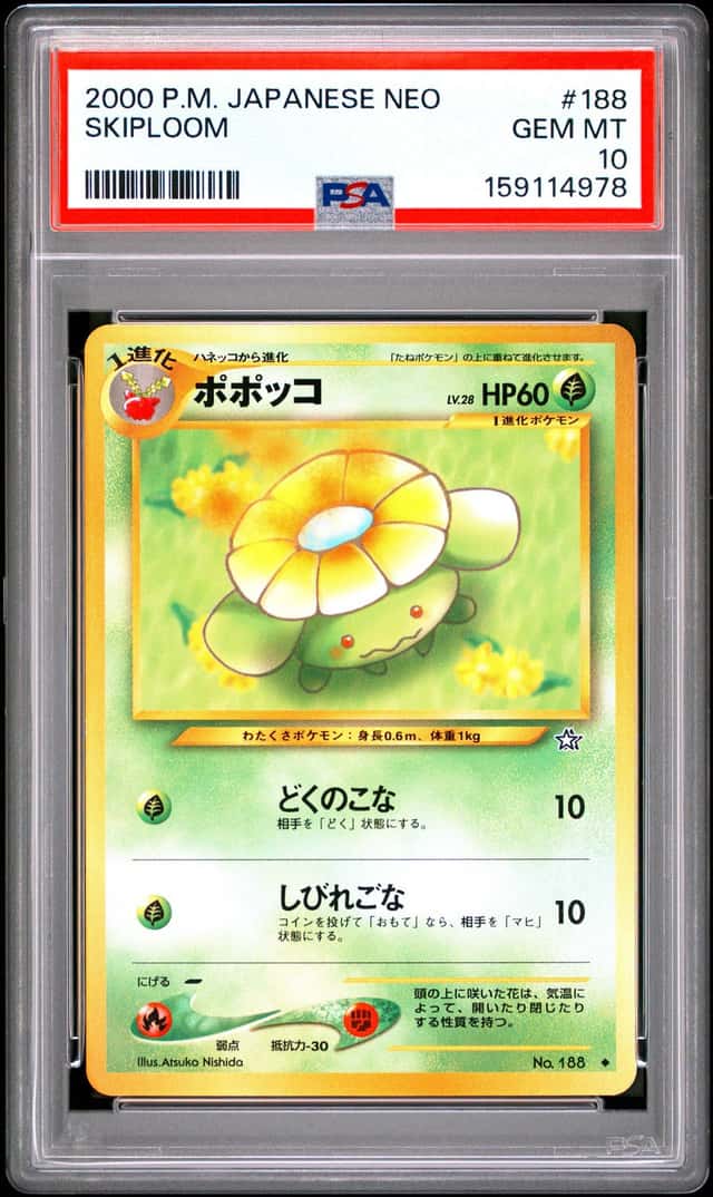 Skiploom