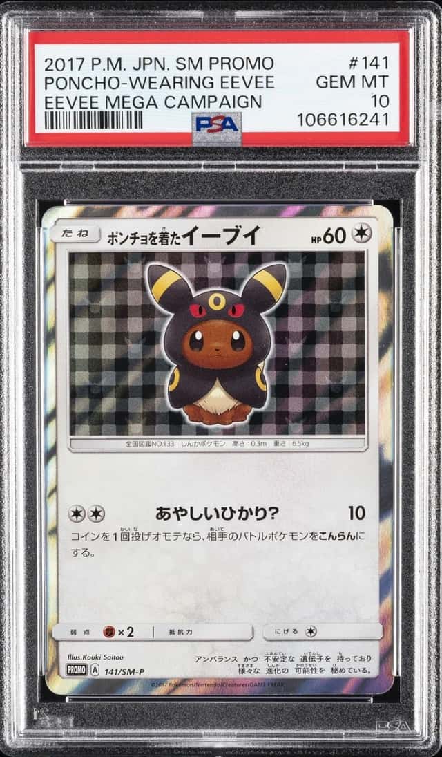 Poncho-Wearing Eevee