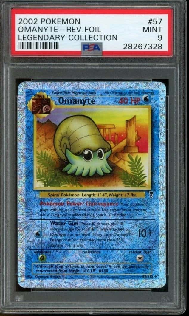 Omanyte