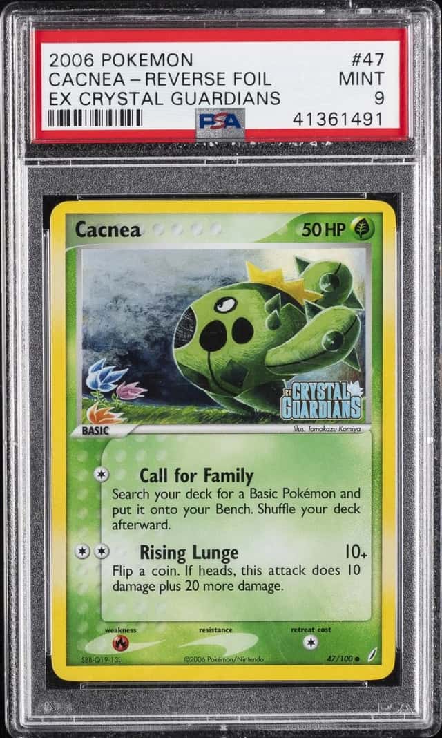 Cacnea