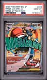 Mega Lucario Ex