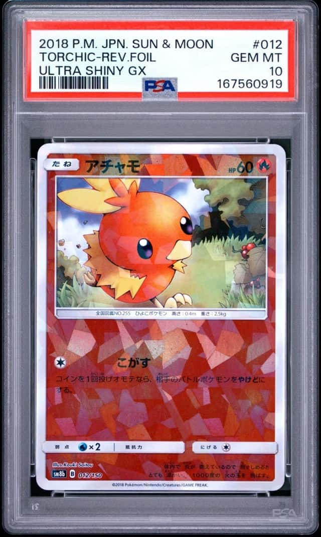 Torchic