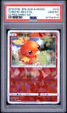 Torchic
