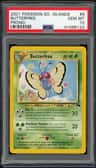 Butterfree