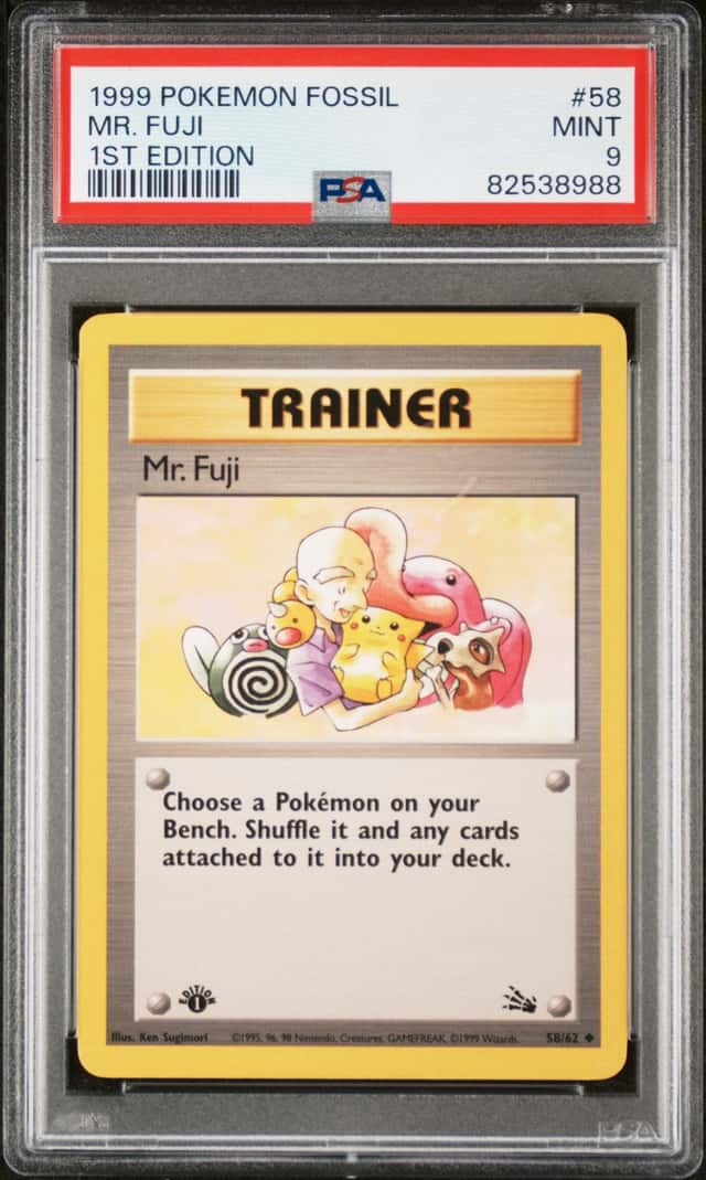 Mr. Fuji