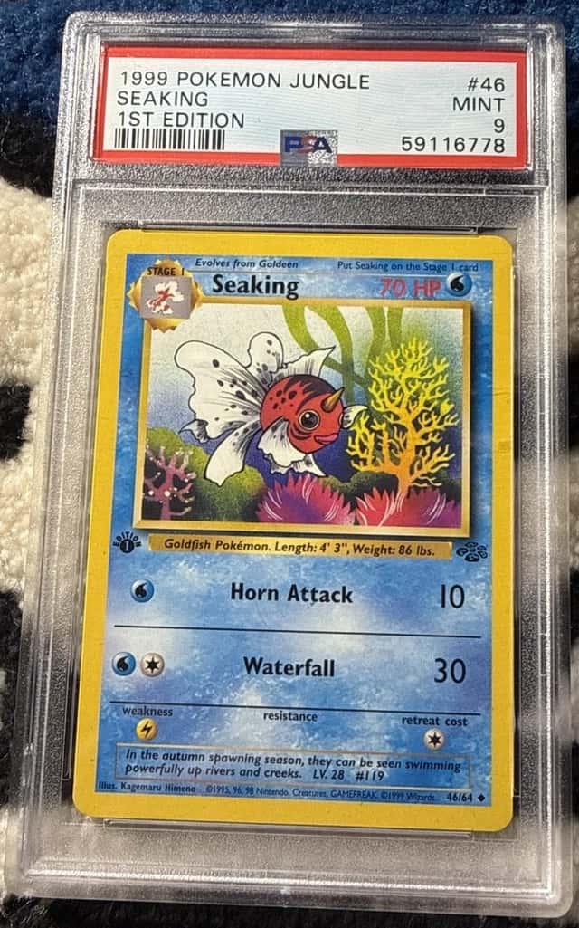Seaking