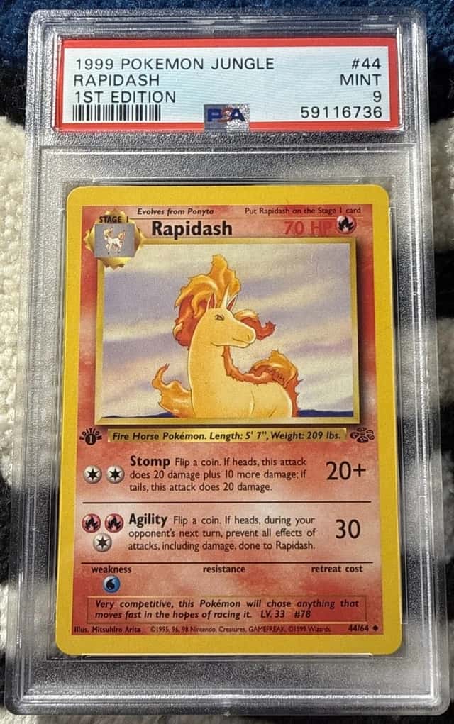 Rapidash