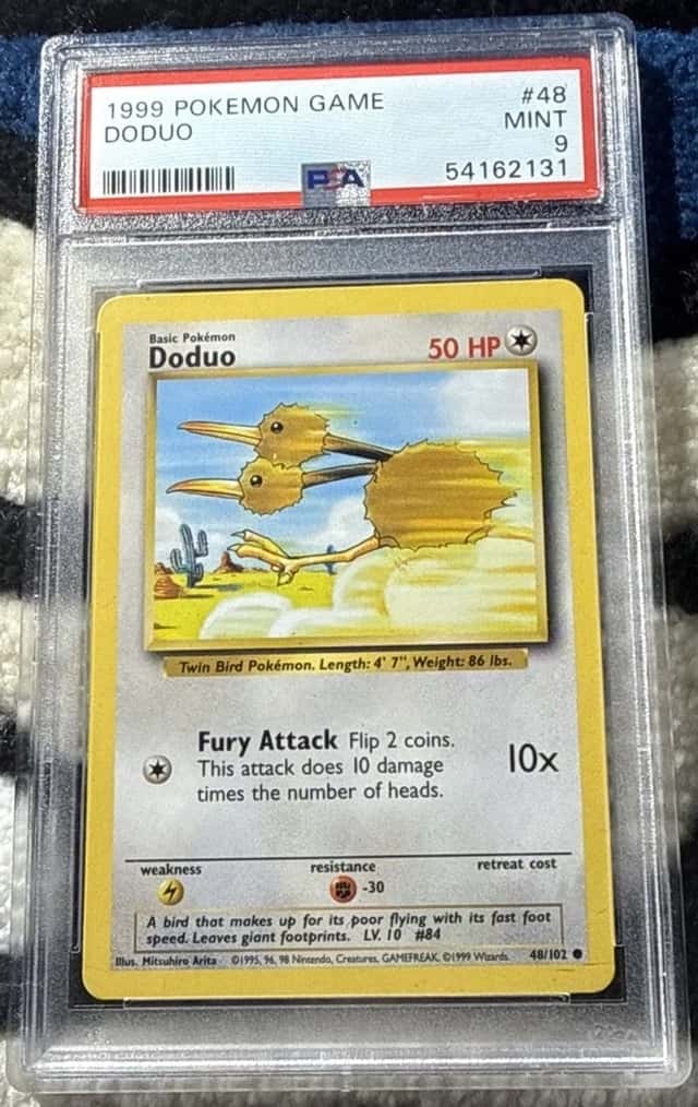 Doduo