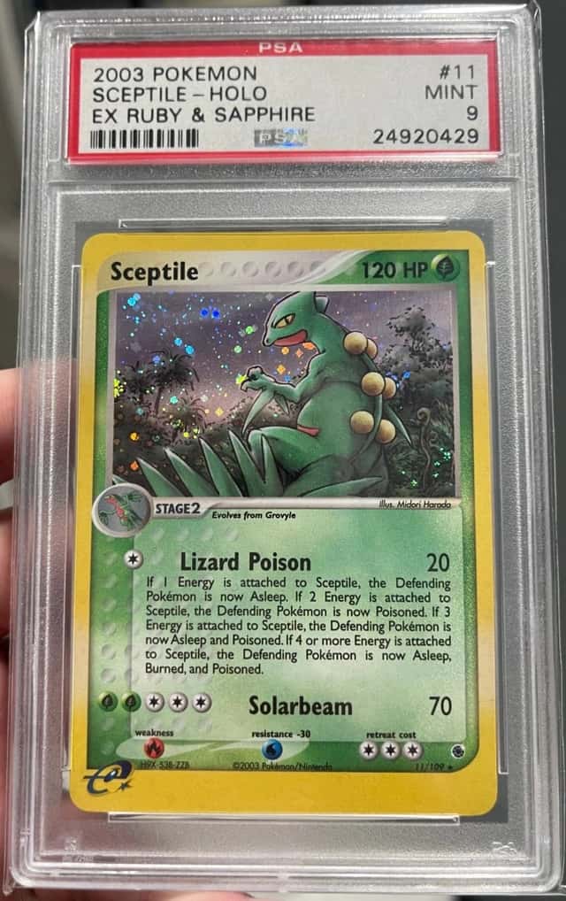 Sceptile