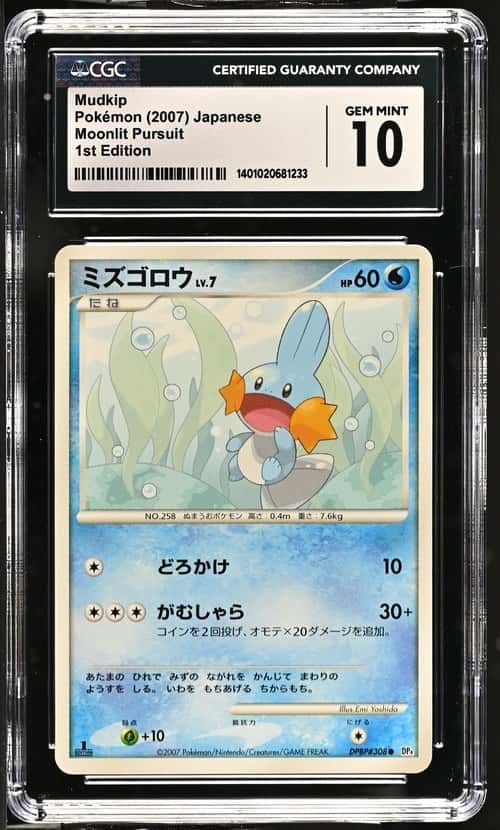 Mudkip