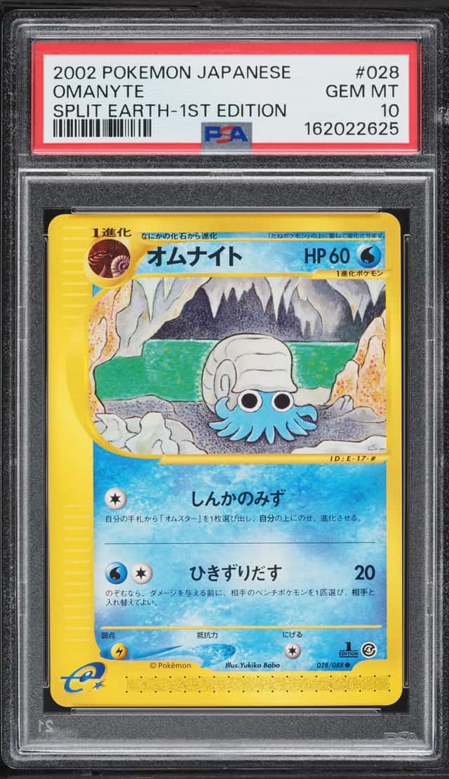 Omanyte