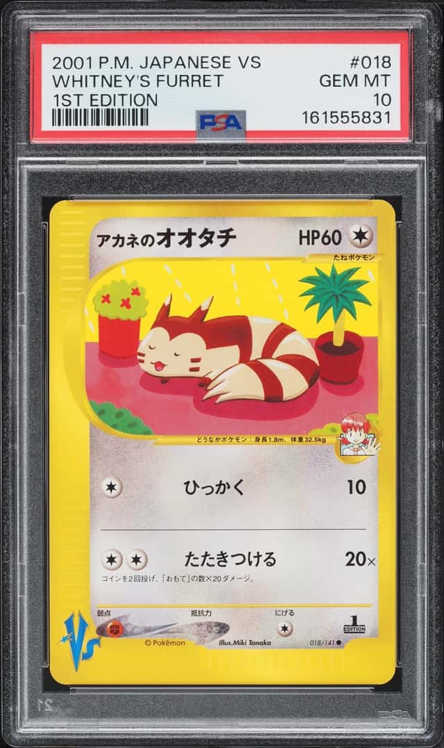 Whitney's Furret