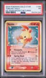 Torchic