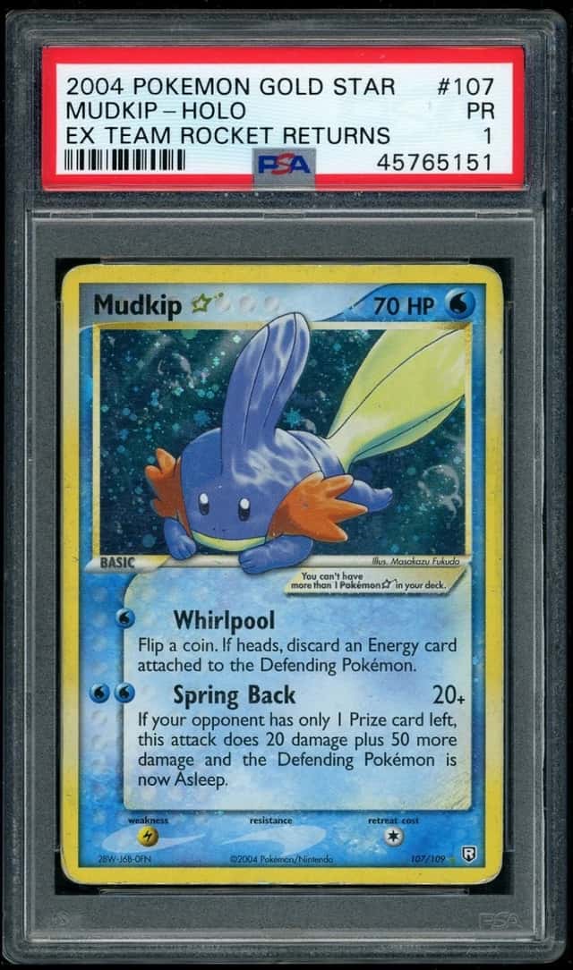 Mudkip