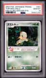 Turtwig