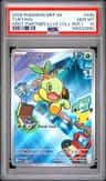 Turtwig