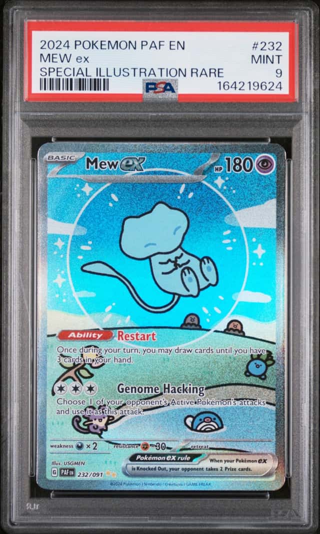 MEW ex