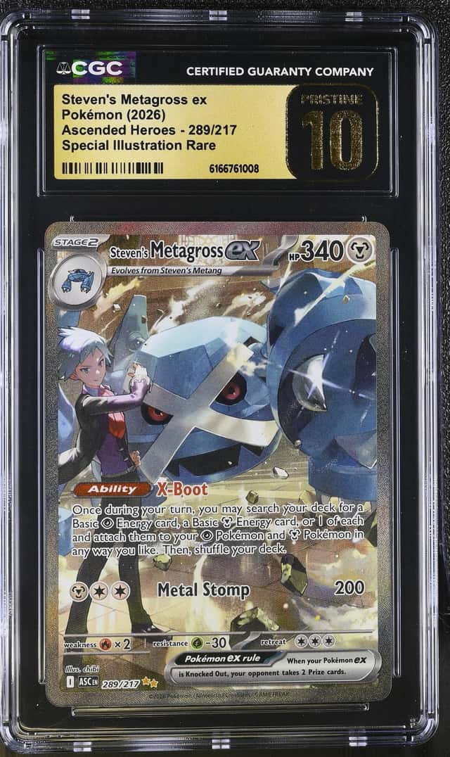 STEVEN'S METAGROSS ex