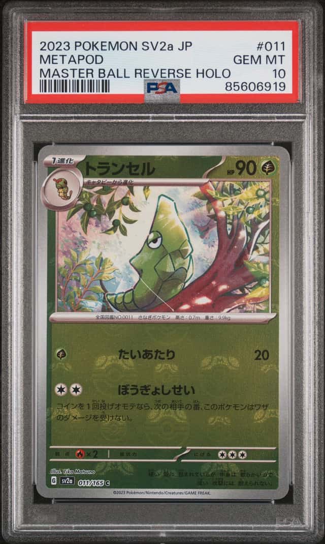Metapod