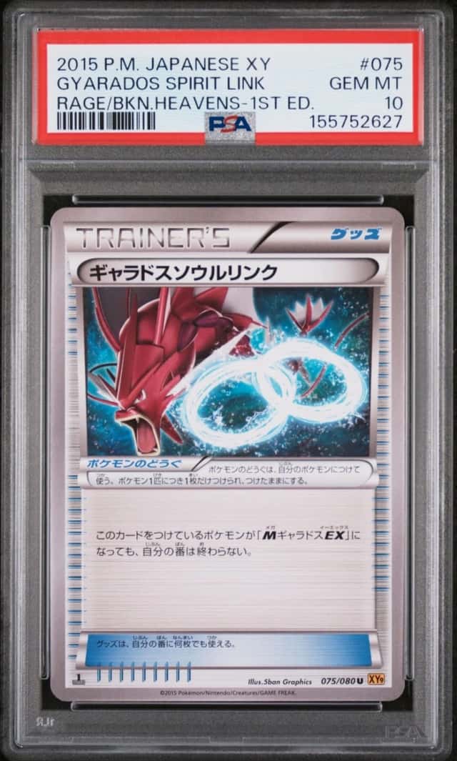 Gyarados Spirit Link