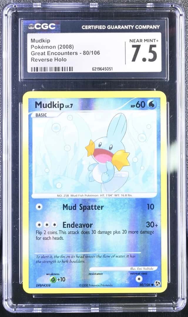 Mudkip