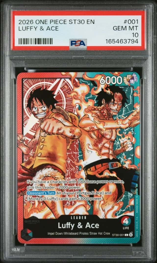 Luffy & Ace