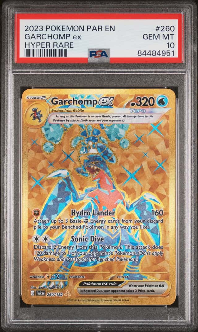 GARCHOMP ex