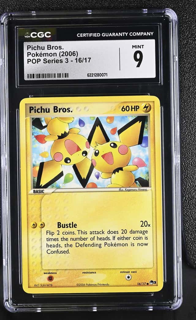 Pichu Bros