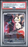 Team Rocket'S Mimikyu