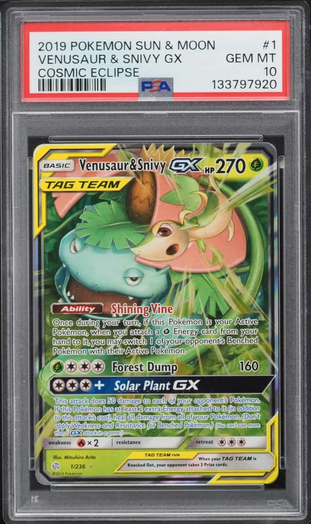 Venusaur & Snivy GX