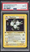 Magneton
