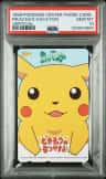 Pikachu'S Vacation