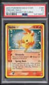 Torchic