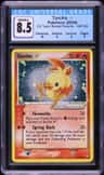 Torchic