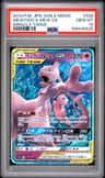 Mewtwo & Mew Gx